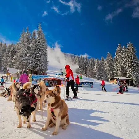 Winterfell ,grand Monastery ,pamporovo Apartment *